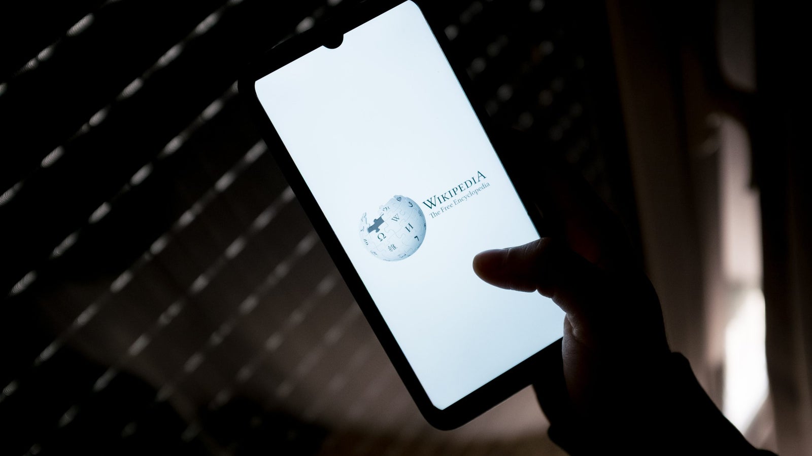 A Wikipedia logo seen displayed on a smartphone screen.