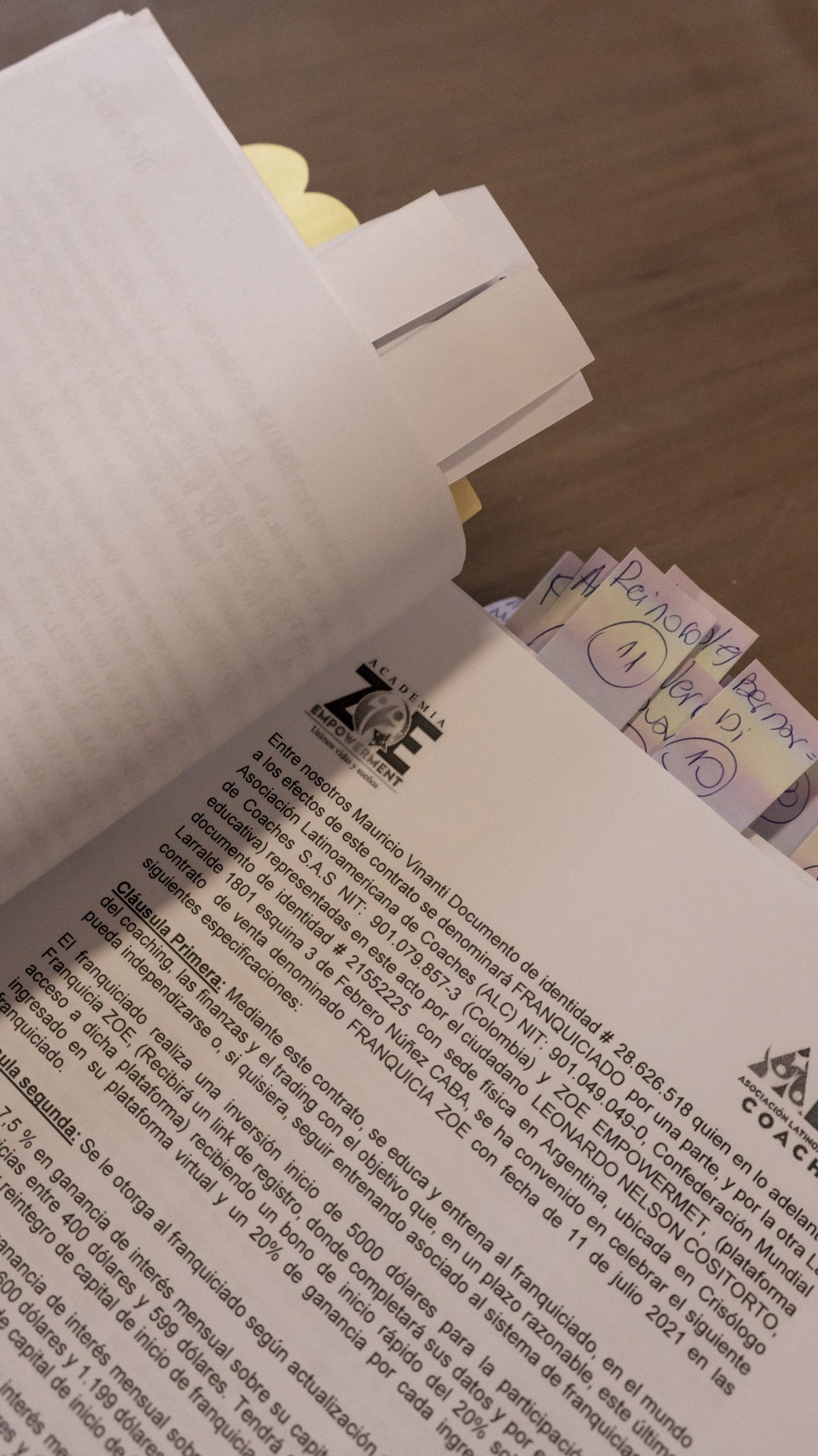 Generación ZOE faces legal trouble. ¿Es una pirámide? - Rest of World